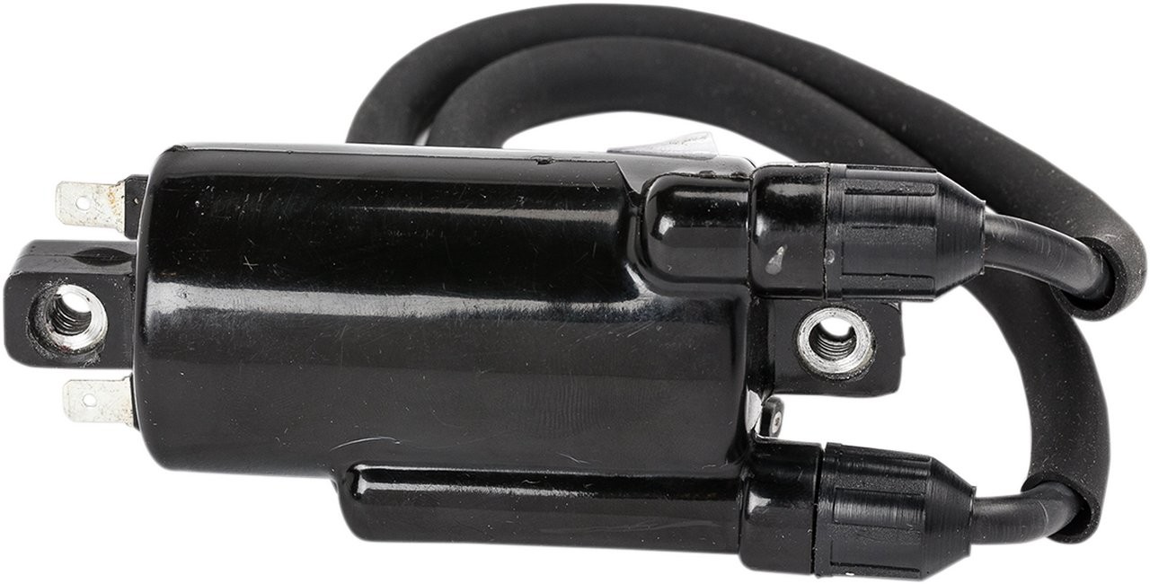 Rick’s Motorsport Electrics Replacement Ignition Coil 23-102 1 YEAR Warranty! - Foto 1 di 1